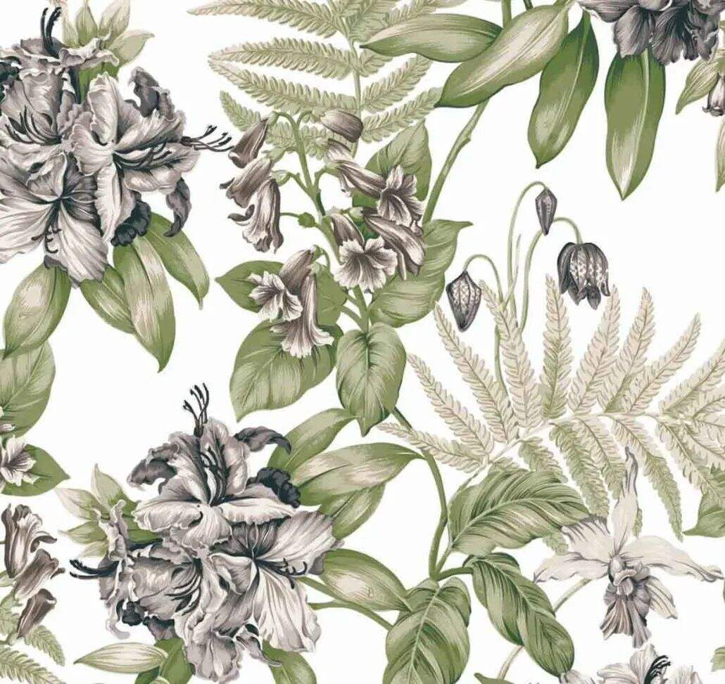 2021 (Summer) Foulola News:High Grade Print Country Style 4/4: supplier