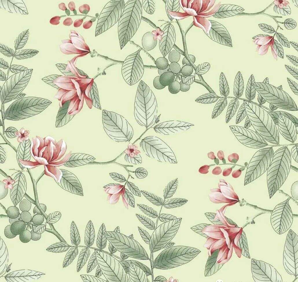 2021 (Summer) Foulola News:High Grade Print Country Style 4/4: supplier