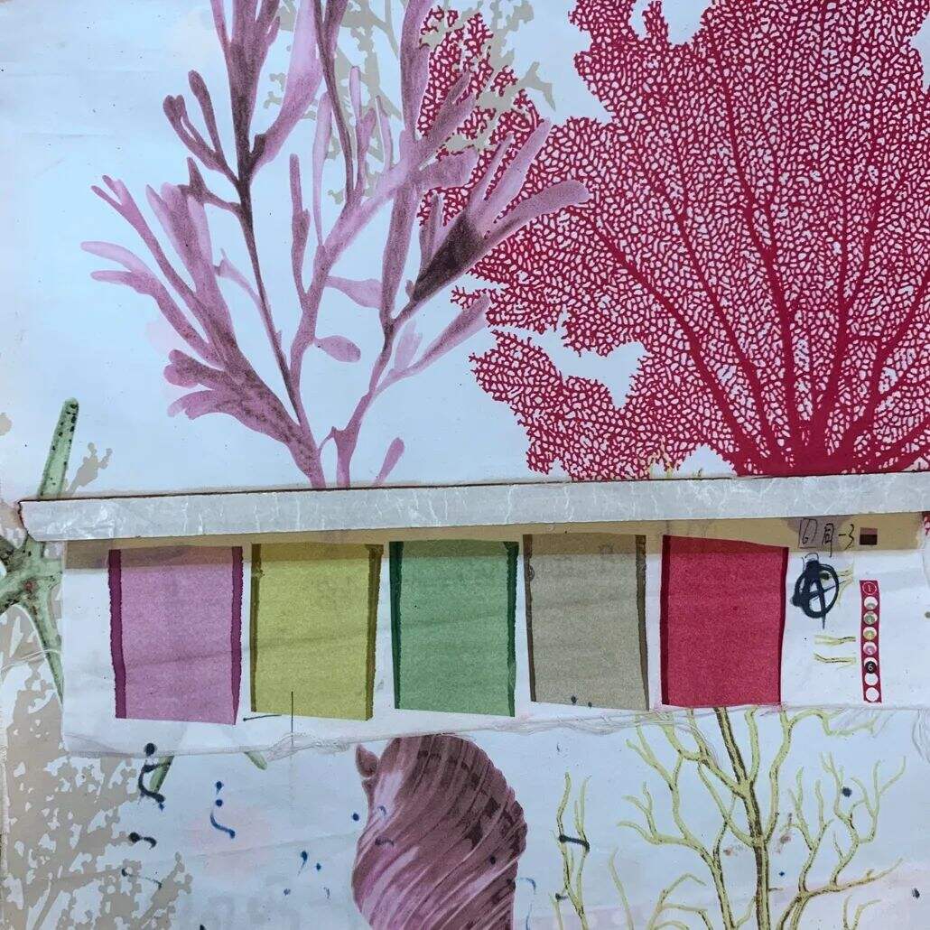 2021 (Summer) Foulola News:High Grade Print-- Moden Style 3/4 supplier