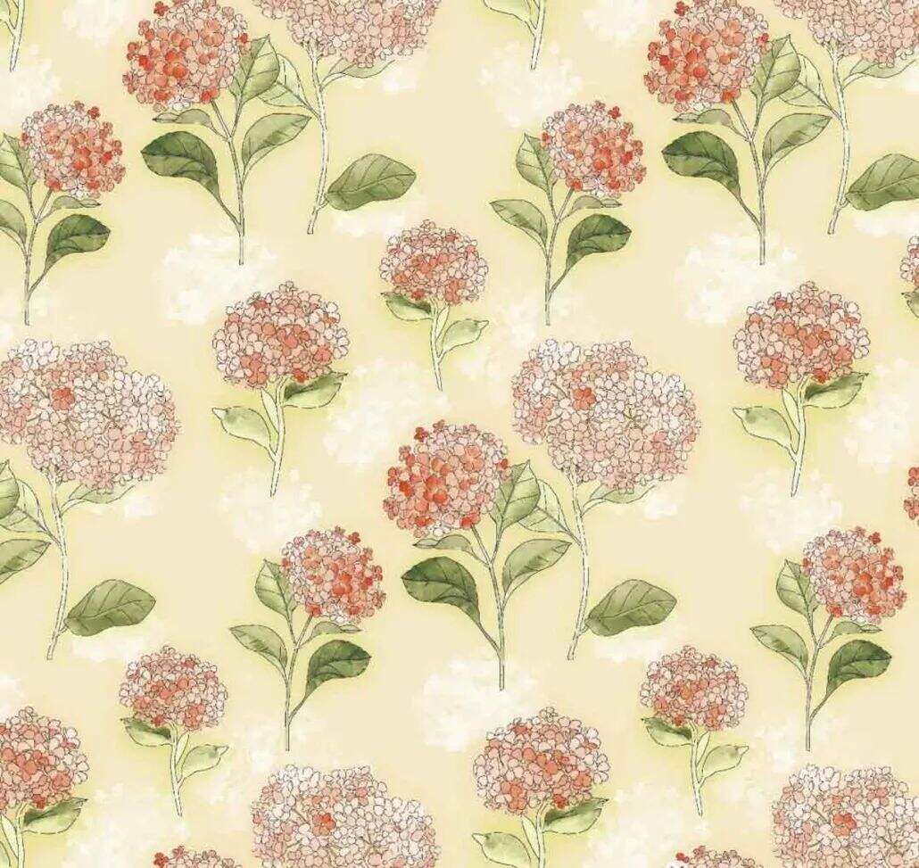 2021 (Summer) Foulola News:High Grade Print Country Style 4/4: supplier