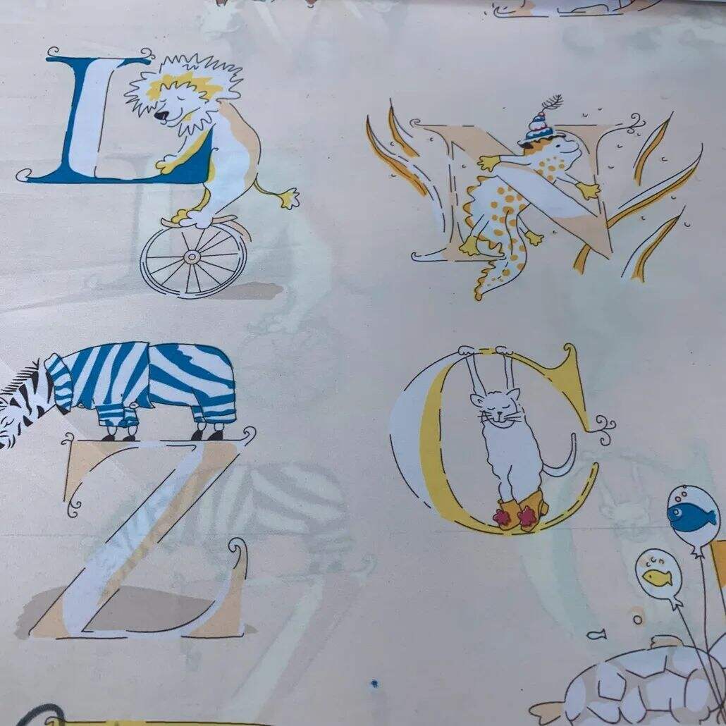 2021 (Summer) Foulola News：High Grade Print --Kartoon Syle details