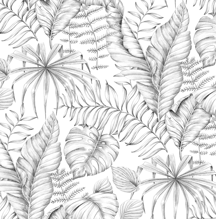 2022 (Fab.) Foulola News: Country Style High Grade Print details