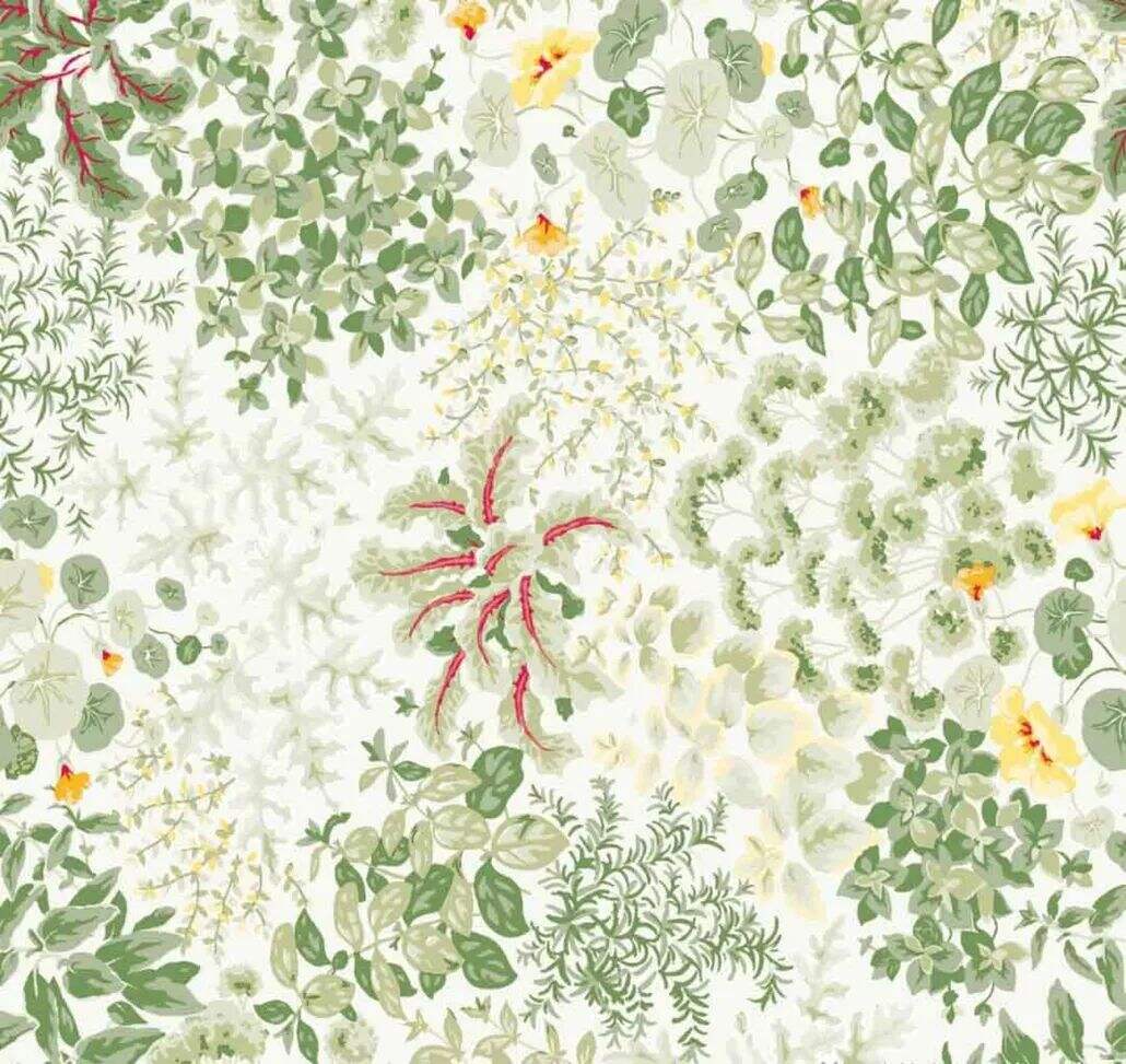 2021 (Summer) Foulola News:High Grade Print Country Style 4/4: manufacture