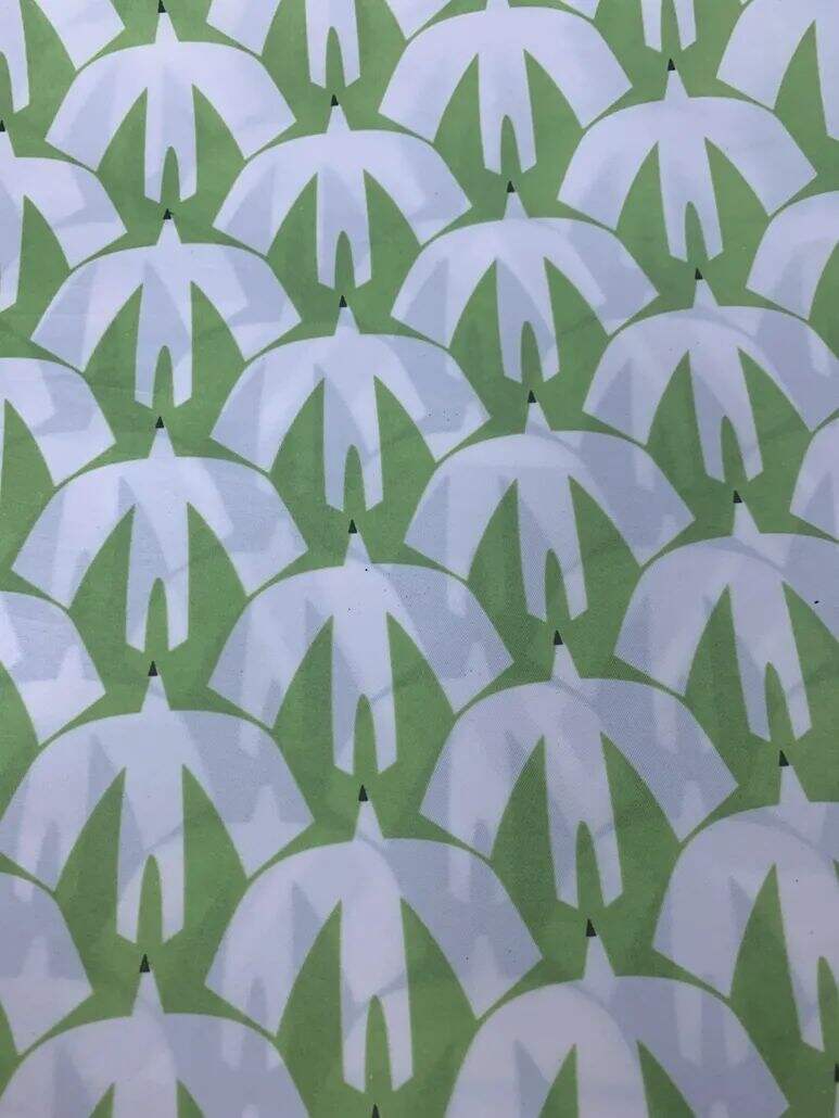 2021 (Summer) Foulola News：High Grade Print --Kartoon Syle factory