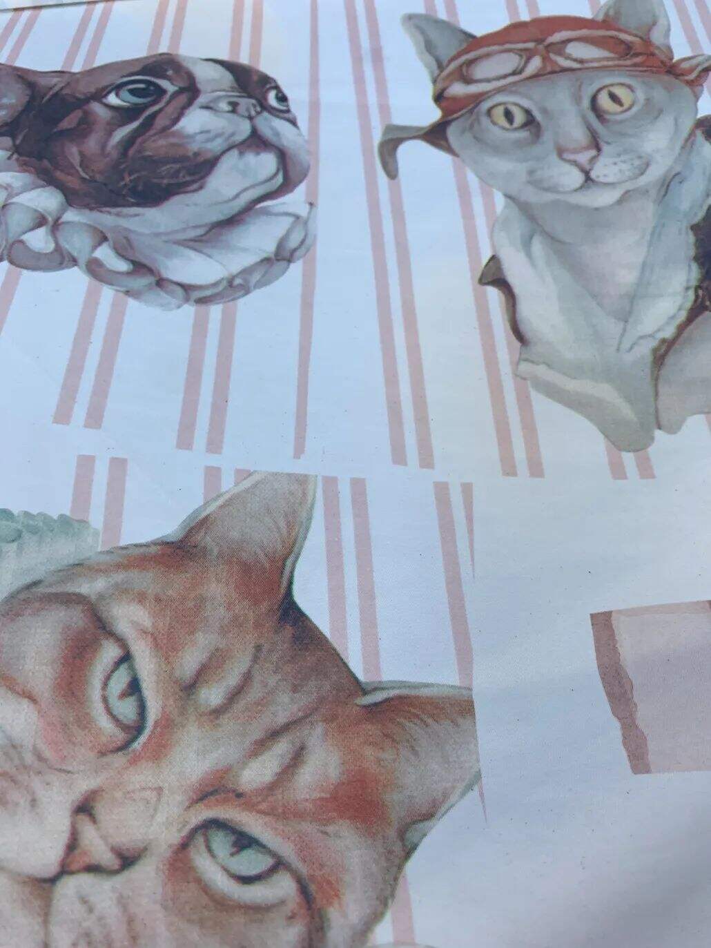2021 (Summer) Foulola News：High Grade Print --Kartoon Syle details