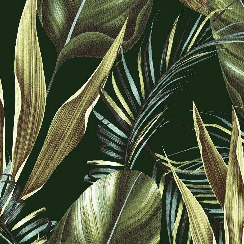 2022 (Dec.) Foulola News: Country Style High Grade Print details