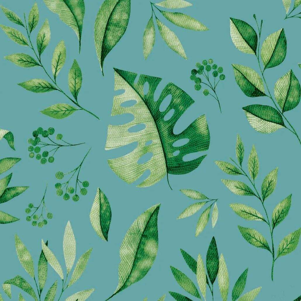 2021 (Summer) Foulola News:High Grade Print Country Style 3/4 details