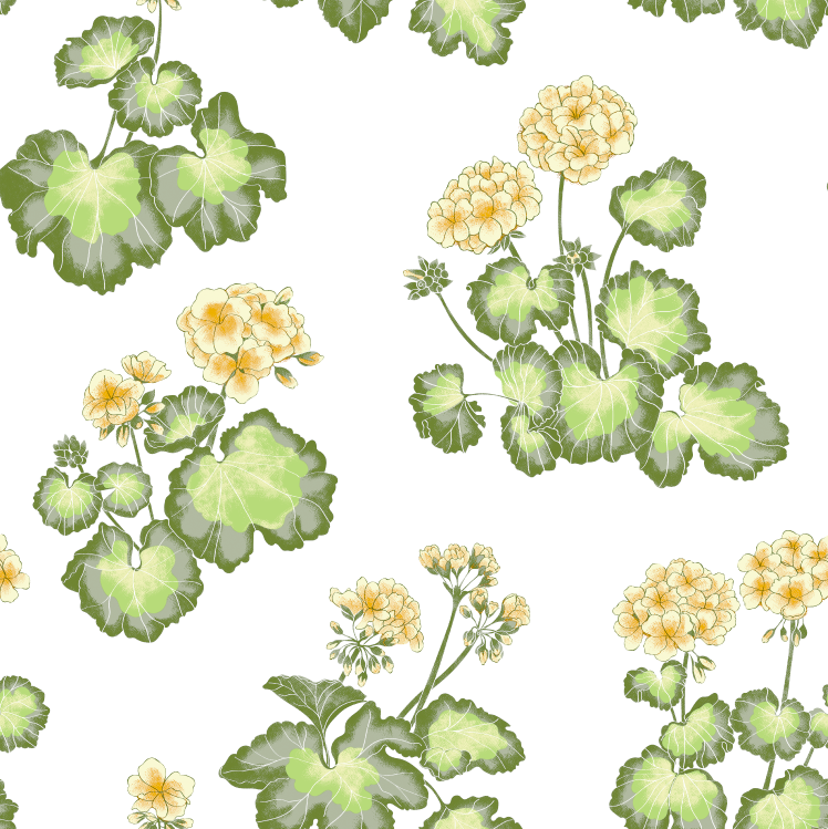 2022 (Fab.) Foulola News: Country Style High Grade Print factory