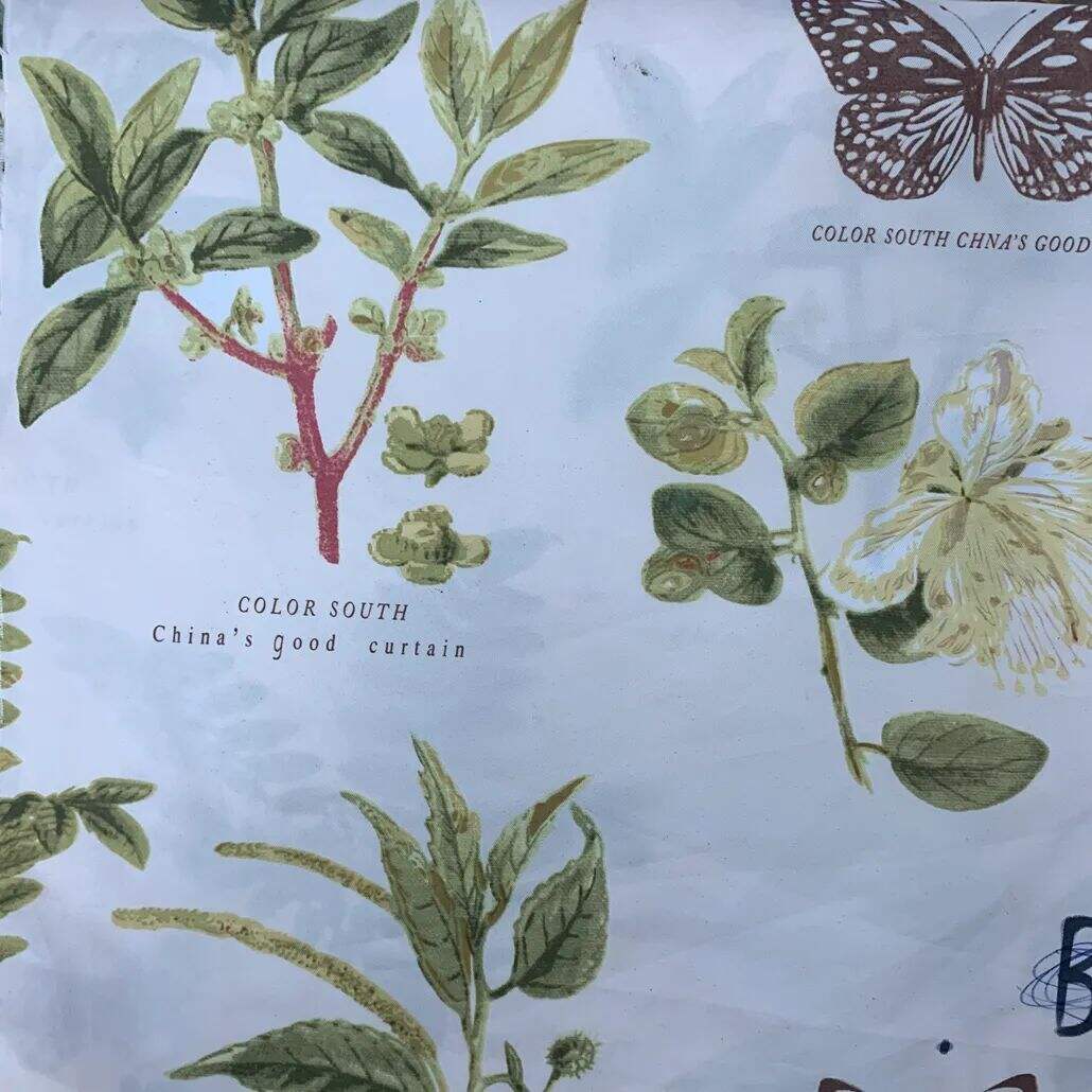 2021 (Summer) Foulola News:High Grade Print Country Style 4/4: details