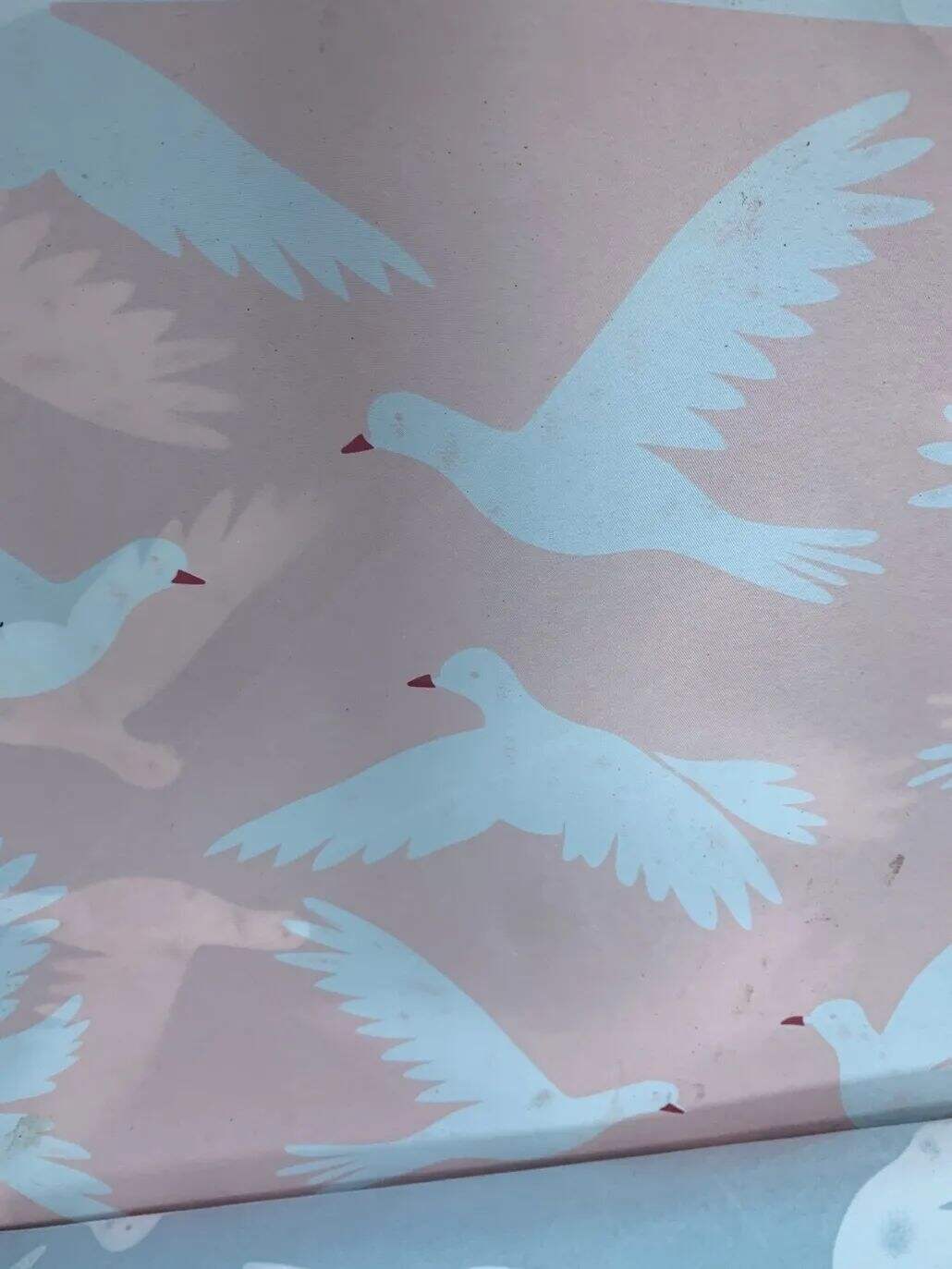 2021 (Summer) Foulola News：High Grade Print --Kartoon Syle details