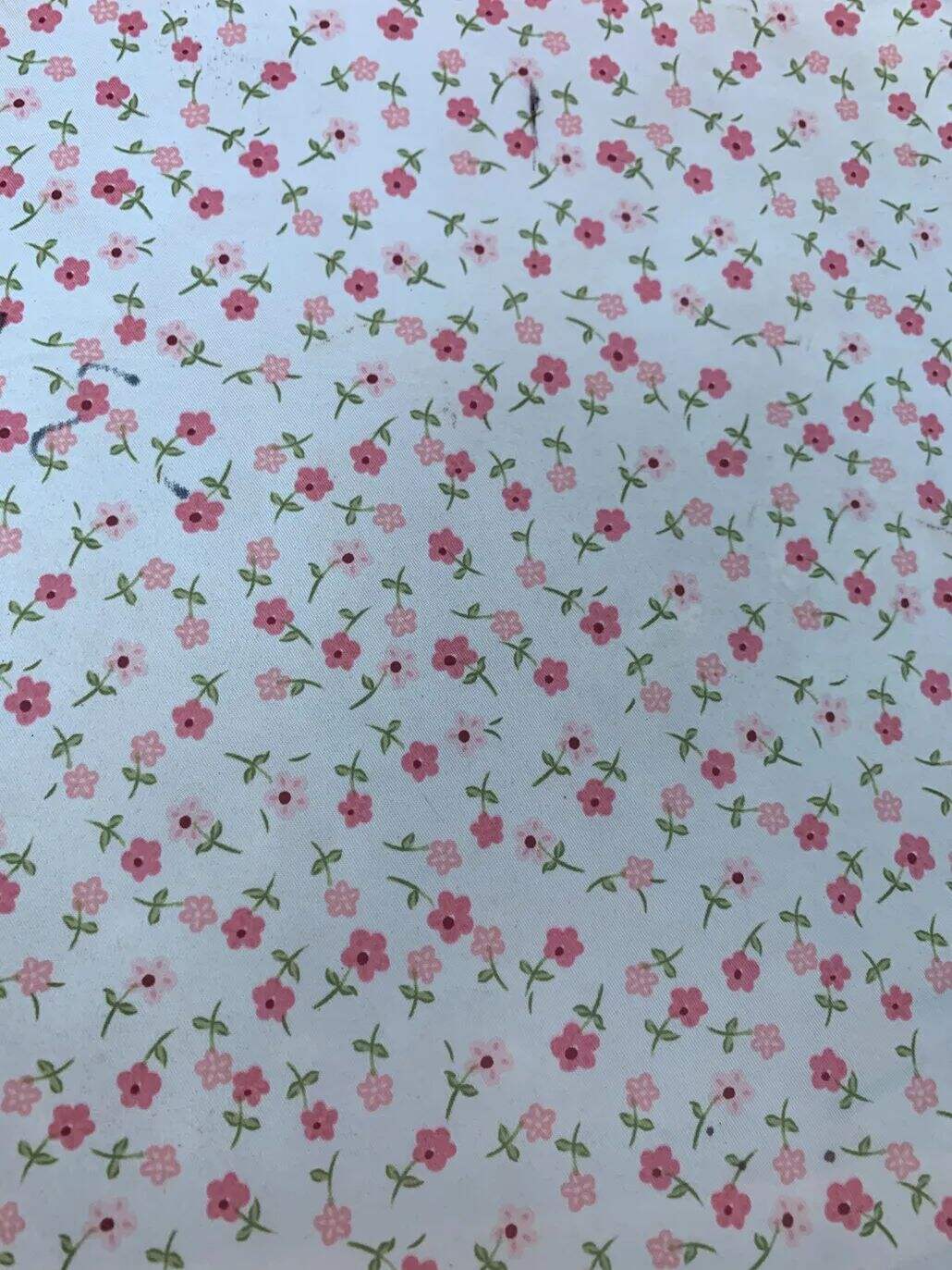 2021 (Summer) Foulola News:High Grade Print-- Country Style details
