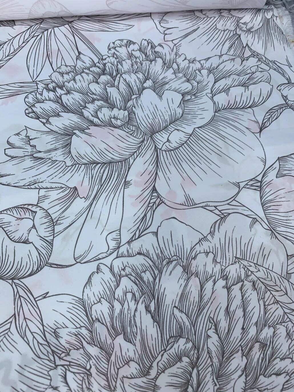 2021 (Summer) Foulola News:High Grade Print-- Country Style details