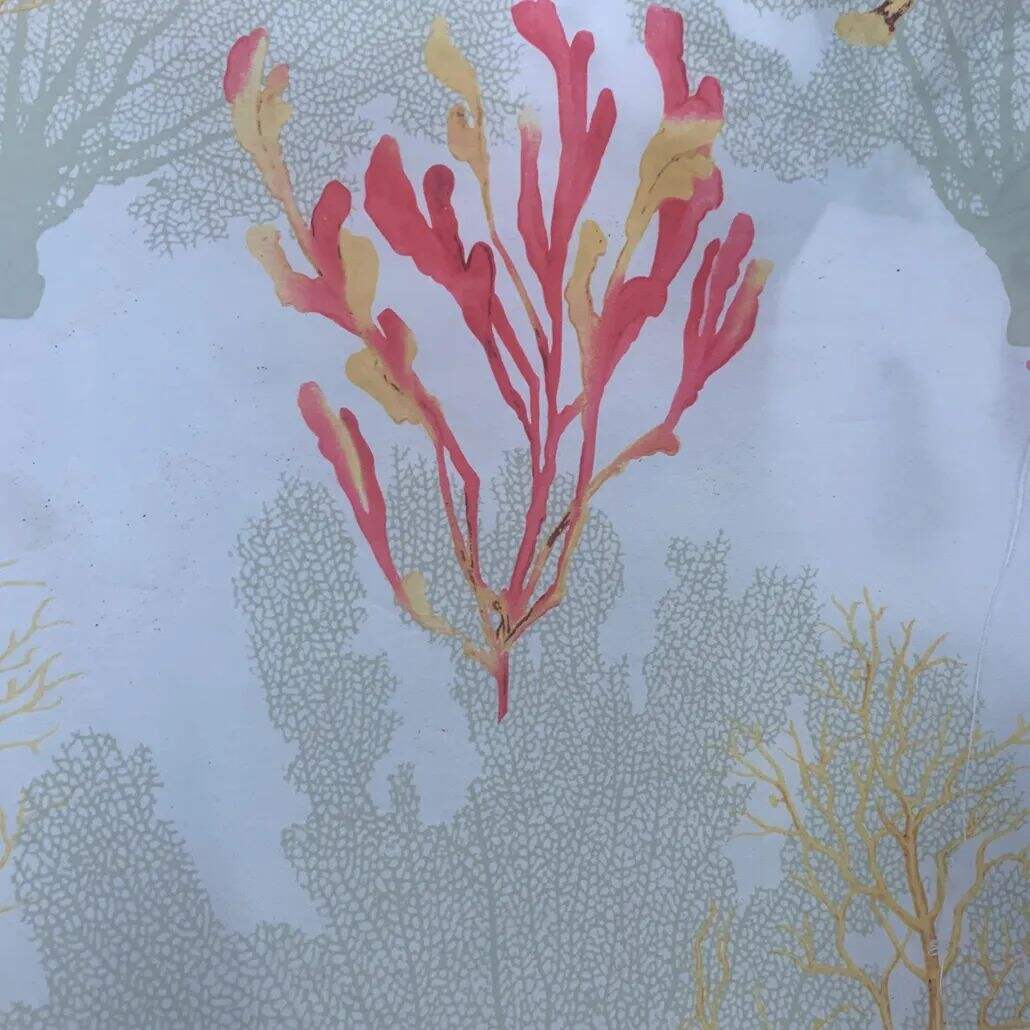 2021 (Summer) Foulola News:High Grade Print Country Style 2/4 details