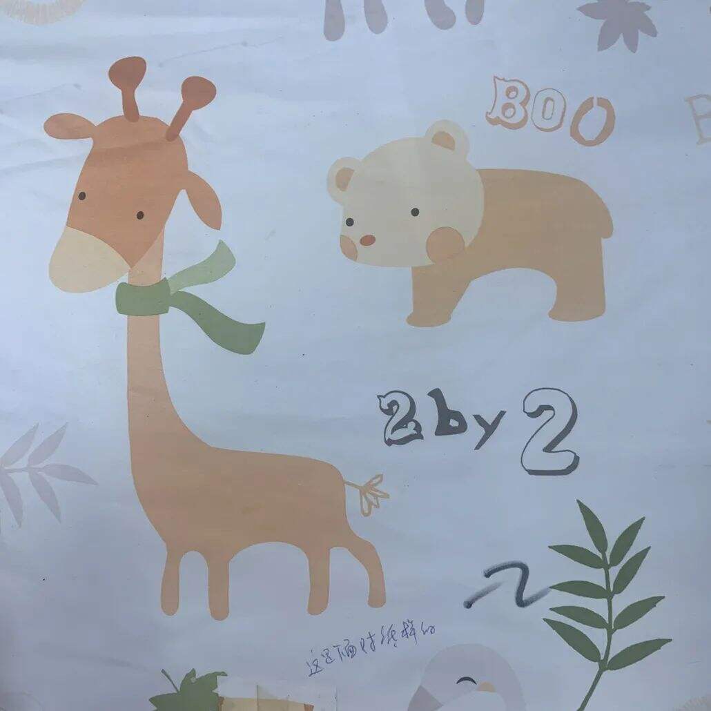 2021 (Summer) Foulola News：High Grade Print --Kartoon Syle manufacture