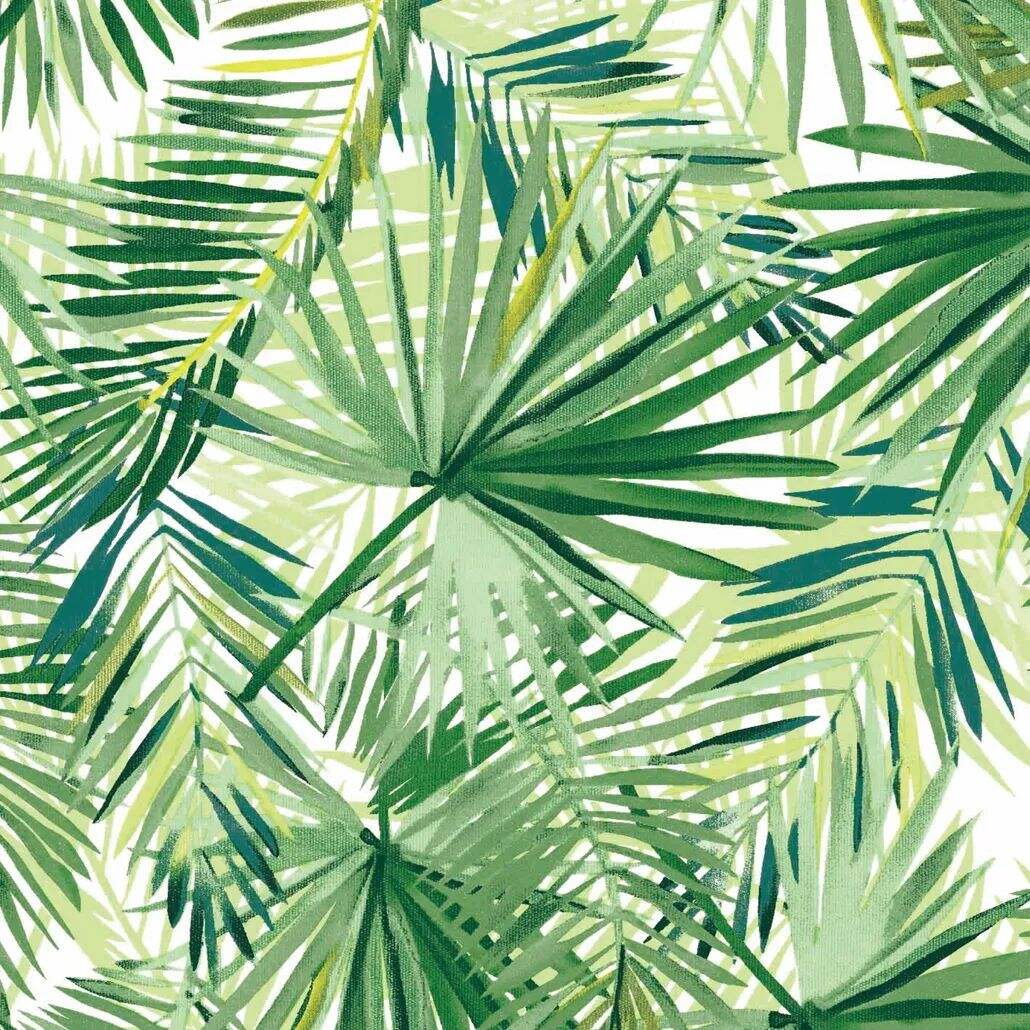 2021 (Summer) Foulola News:High Grade Print Country Style 3/4 details