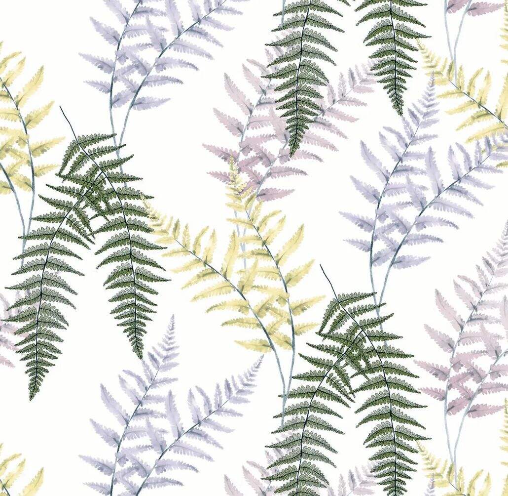 2021 (Summer) Foulola News:High Grade Print Country Style 4/4: supplier