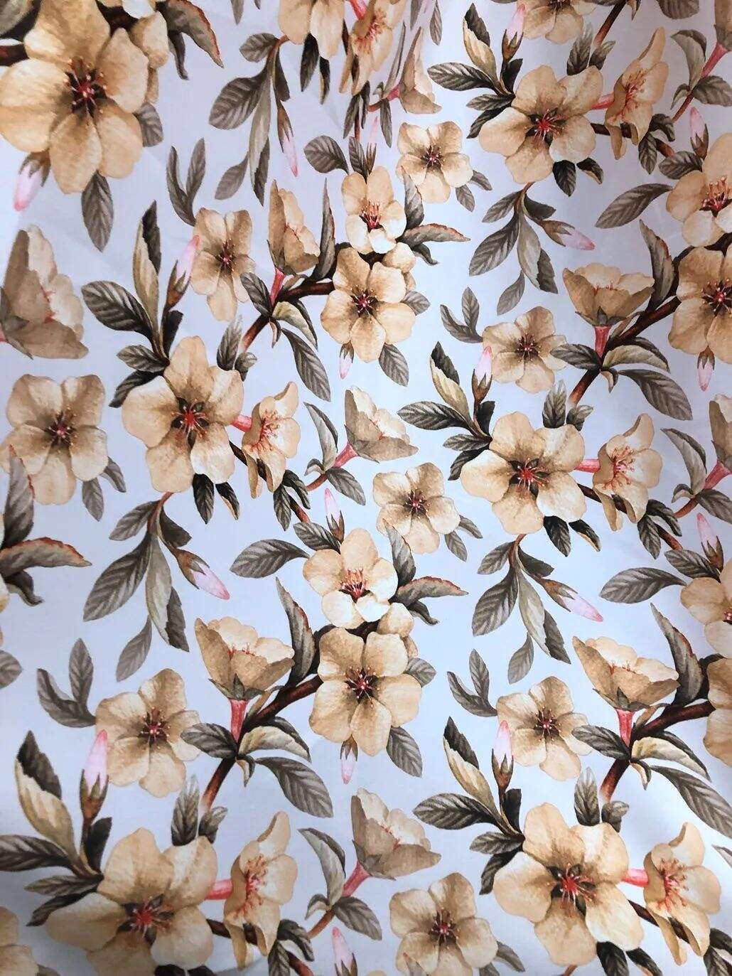 2022 (Fab.) Foulola News: Country Style High Grade Print details