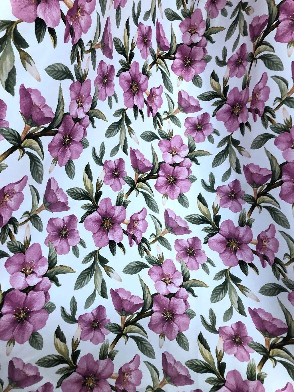 2022 (Fab.) Foulola News: Country Style High Grade Print details