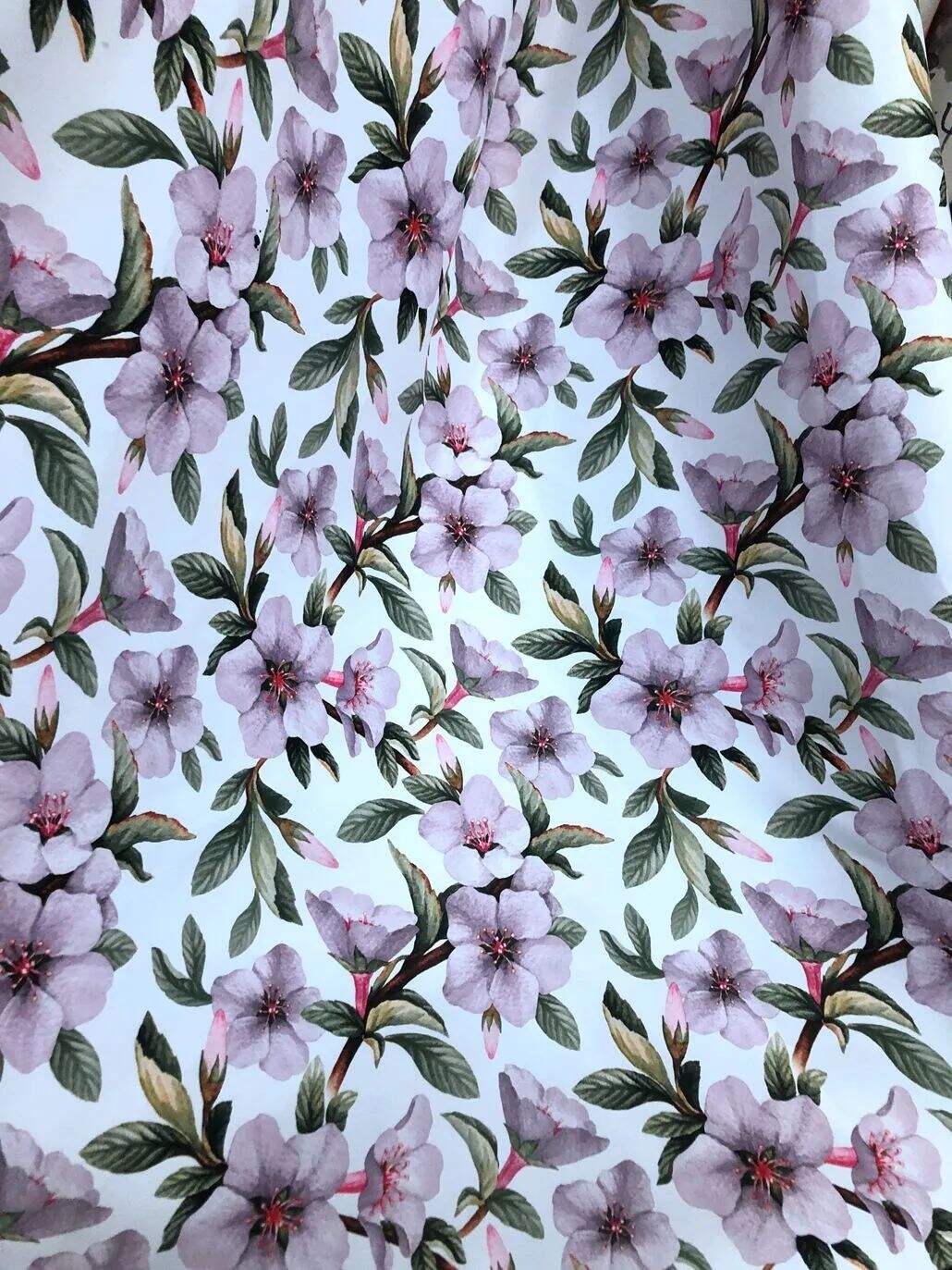 2022 (Fab.) Foulola News: Country Style High Grade Print details