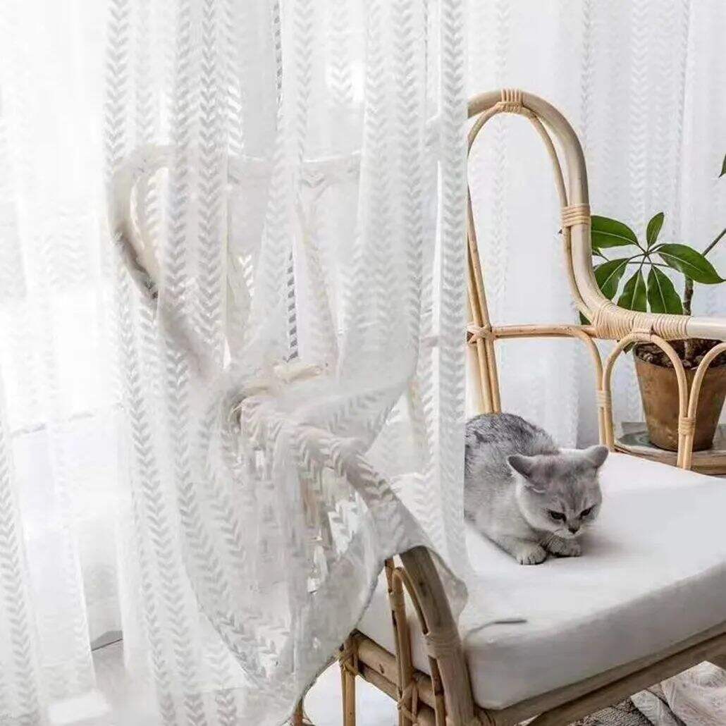 Foulola News: Knitted Sheer new designs supplier