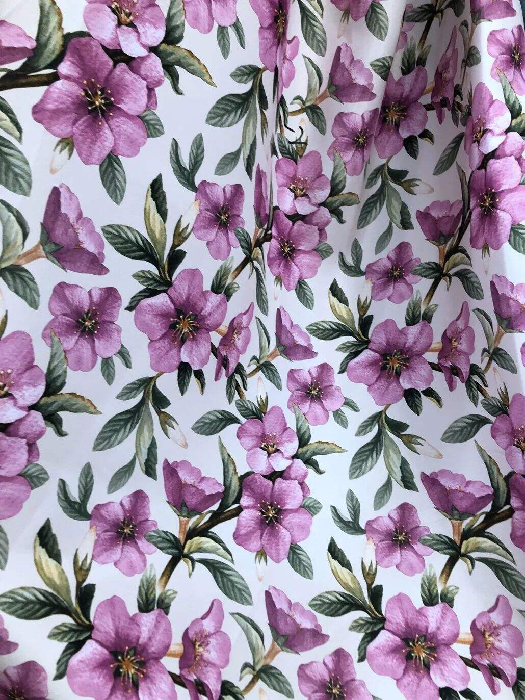 2022 (Fab.) Foulola News: Country Style High Grade Print details
