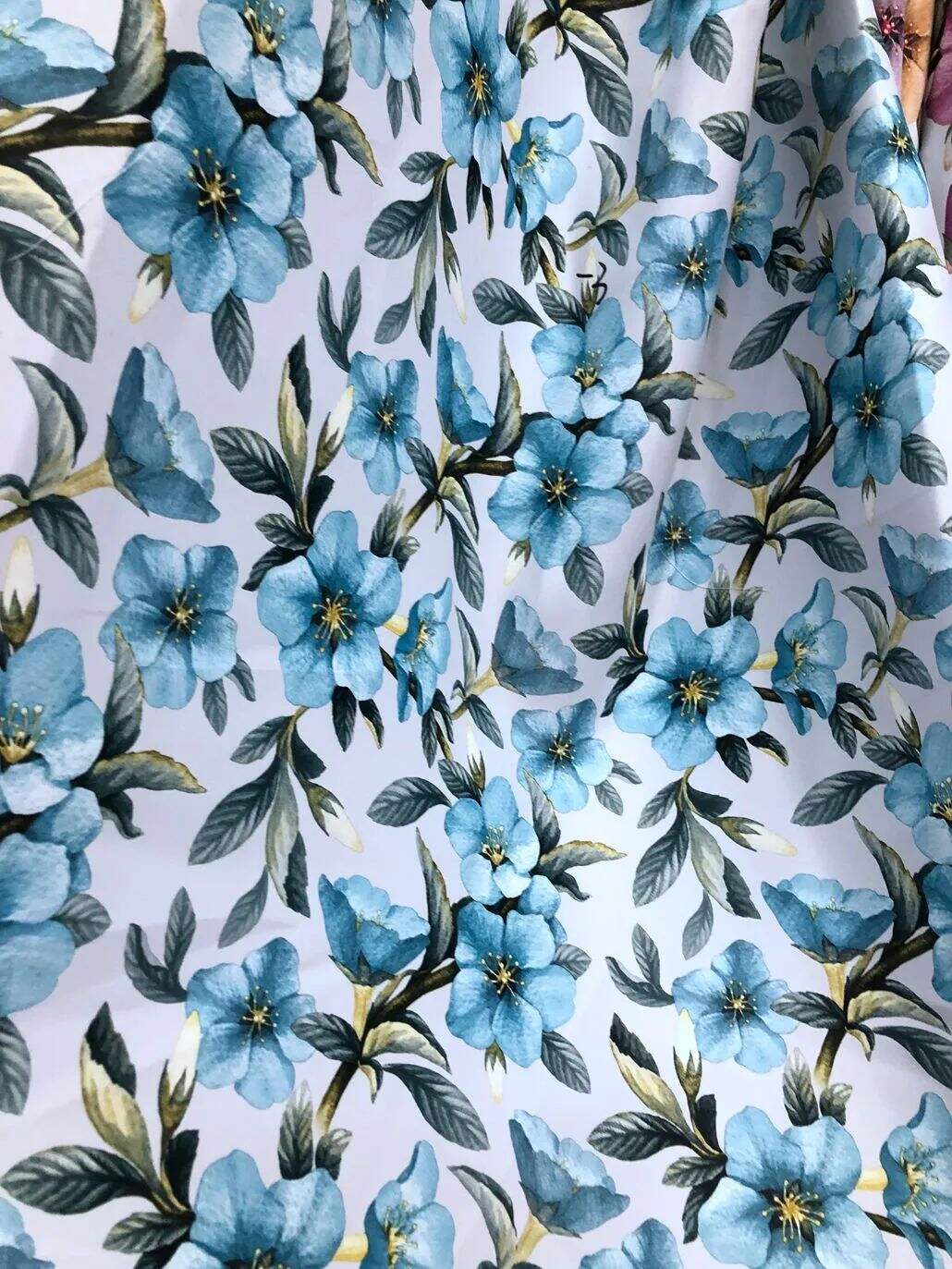 2022 (Fab.) Foulola News: Country Style High Grade Print supplier