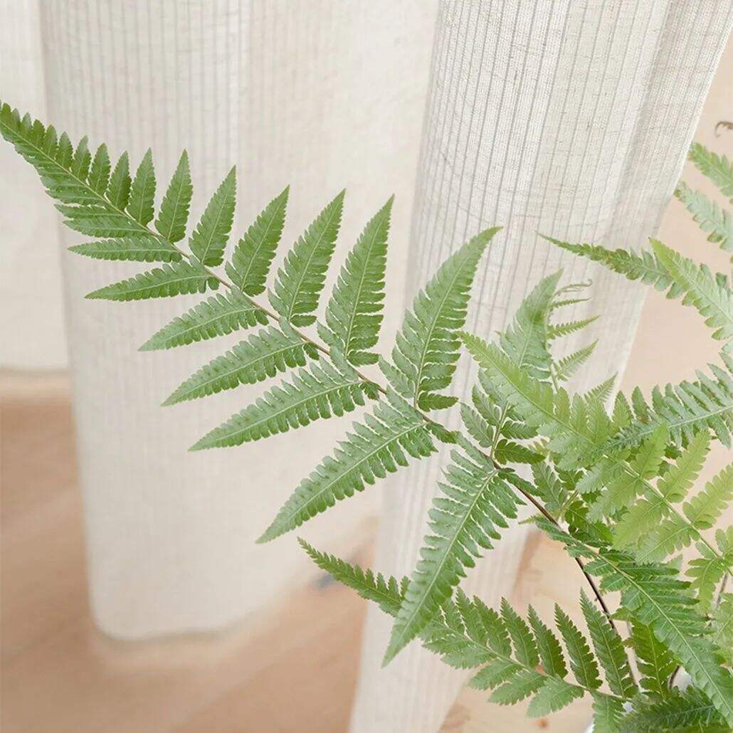 30 Foulola News: High Grade Linen WF2#series Sheer 2.85-3.0m Width manufacture