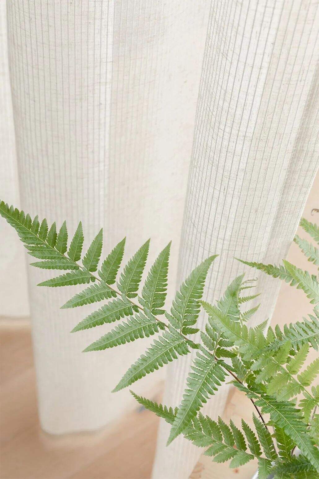 33 Foulola News: High Grade Linen WF2#series Sheer 2.85-3.0m Width details