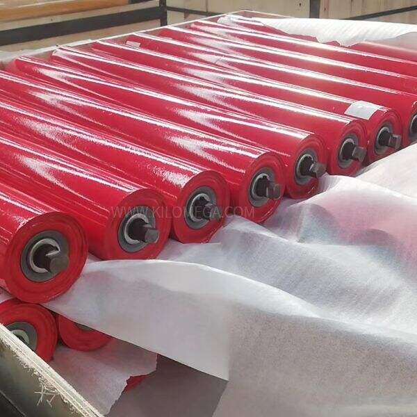 Just How to Use Conveyor Carrier Rollers