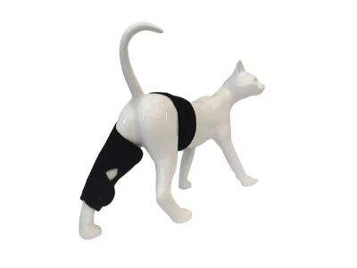 Kediler ve Köpekler İçin Kırmızı Işık Tedavisi Güvenli ve Etkili midir?