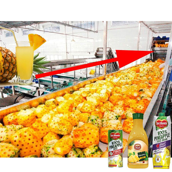 Discover the innovative technology used in pineapple juice processing lines for efficiency and quality.