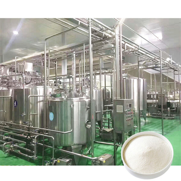 Calculating the potential return on investment for a milk powder manufacturing plan