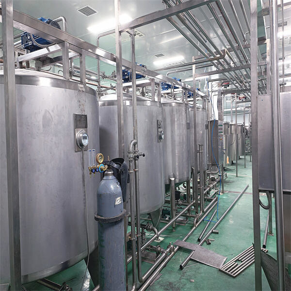 Cutting-Edge Technology in Mango Juice Processing