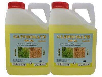 Principali fattori presi in considerazione dagli acquirenti nella scelta degli insetticidi per il controllo dei parassiti delle colture