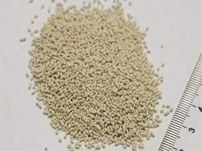 What Makes Chinosol 50% SL Suitable for Preventive Fungicide Programs?