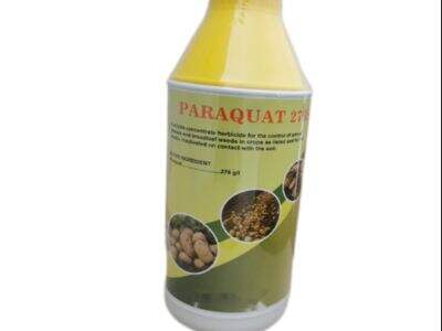 Paraquat 24% SL Factory Direct Bulk Supply For Global Agricultural Markets
