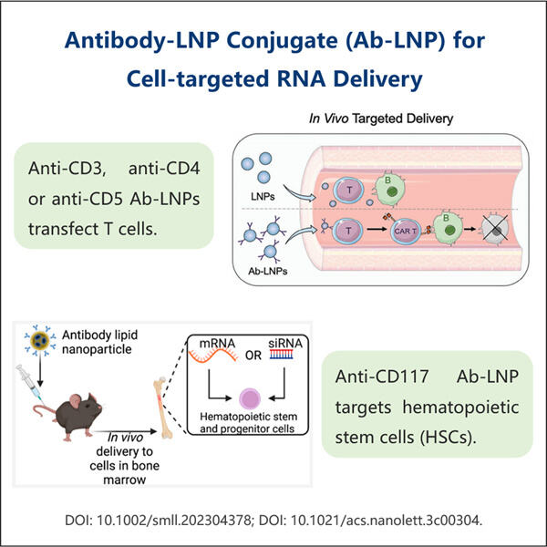 Unlocking the Potential of Cell-Specific RNA-LNPs in Cancer Treatmen