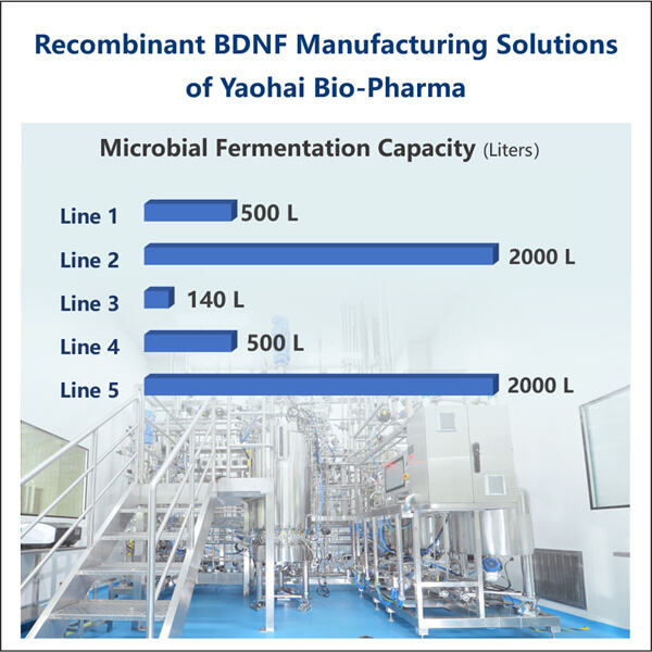 L'avenir de la fabrication du BDNF recombinant et ses implications dans le traitement des troubles neurologiques