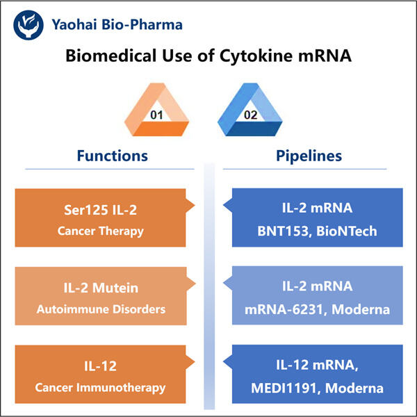 كشف تعقيدات إشارات mRNA للسيتوكين