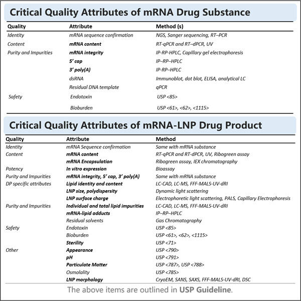 The Role of Ribosomes in Monitoring mRNA Quality