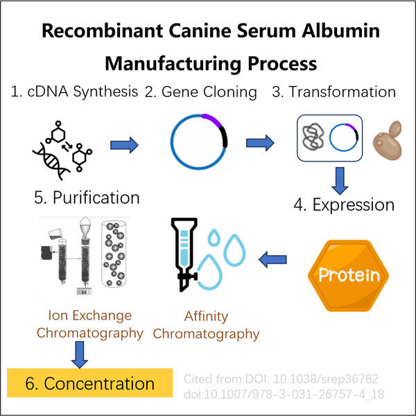 Comprehensive guide to using Recombinant CSA in veterinary care