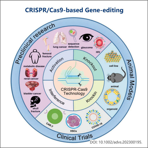 Les applications potentielles de l'ARNm CRISPRCas9