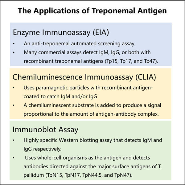 Streamlining the Treponemal Antigen Manufacturing Process with GMP