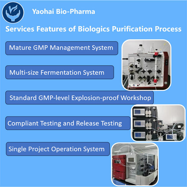 Équilibrer l'efficacité et la qualité dans le développement des processus de purification des produits biologiques