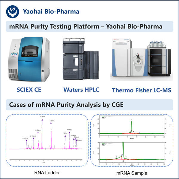 Maximizing Data Accuracy with mRNA Purity Testing