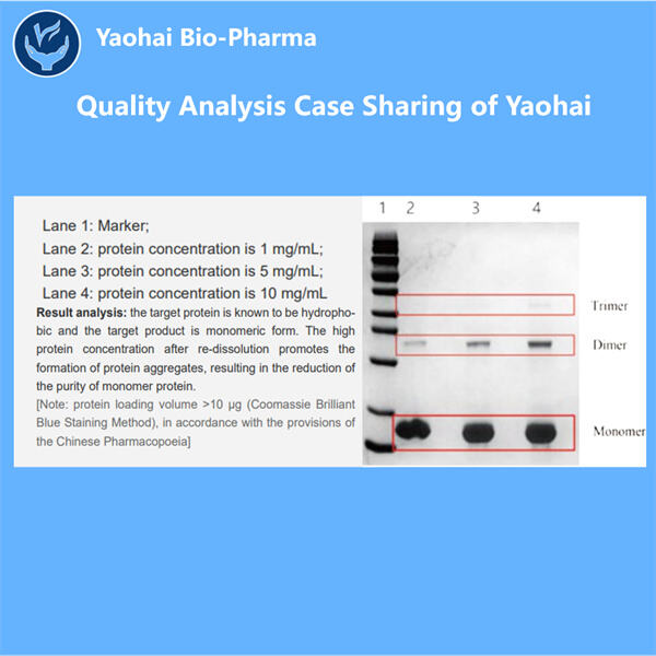 How Recombinant Protein Lot Release Testing Helps Keep Patients Safe.