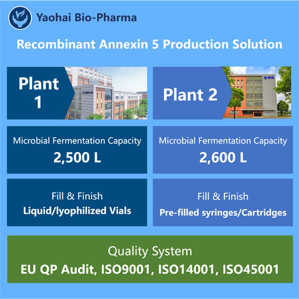 Innovative Approaches to Recombinant Annexin 5 Manufacturing for Improved Patient Outcomes