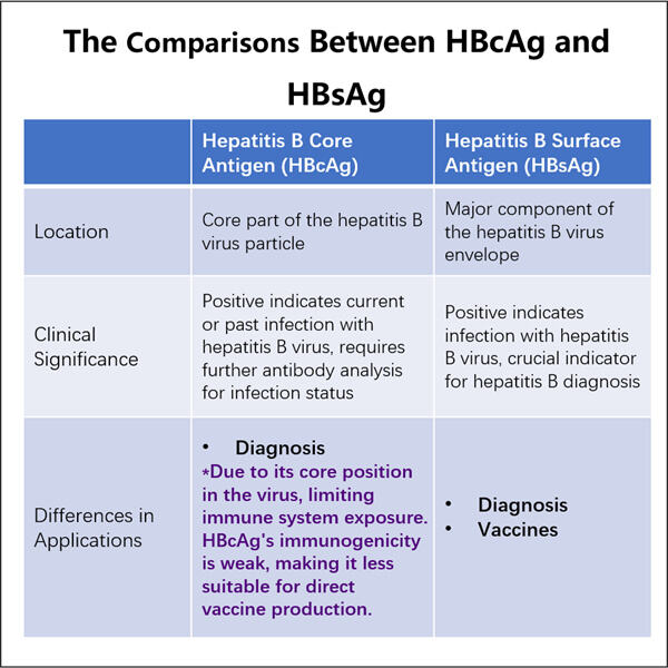 The Science Behind HBV HBcAg VLP Technology