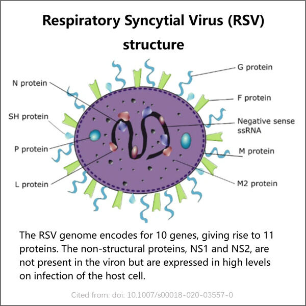 Teknologi Canggih dalam Pembuatan Protein G RSV GMP untuk Meningkatkan Kualitas dan Hasil