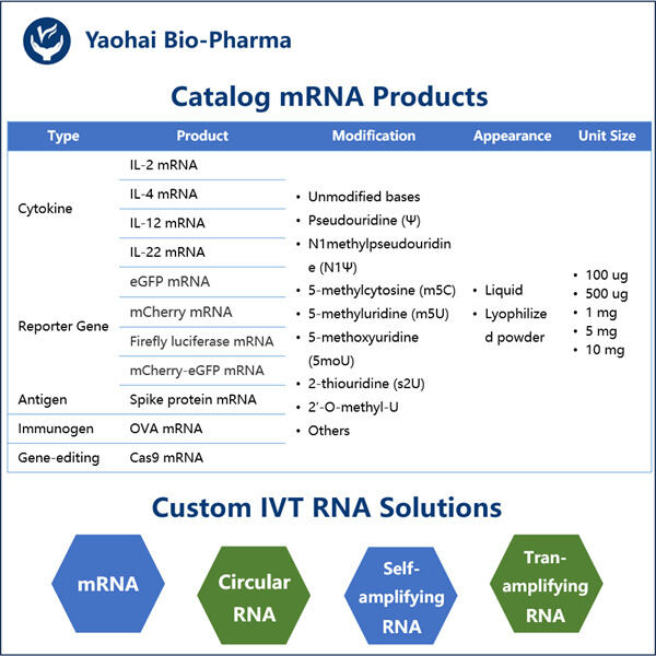 Implications for Future Therapies.